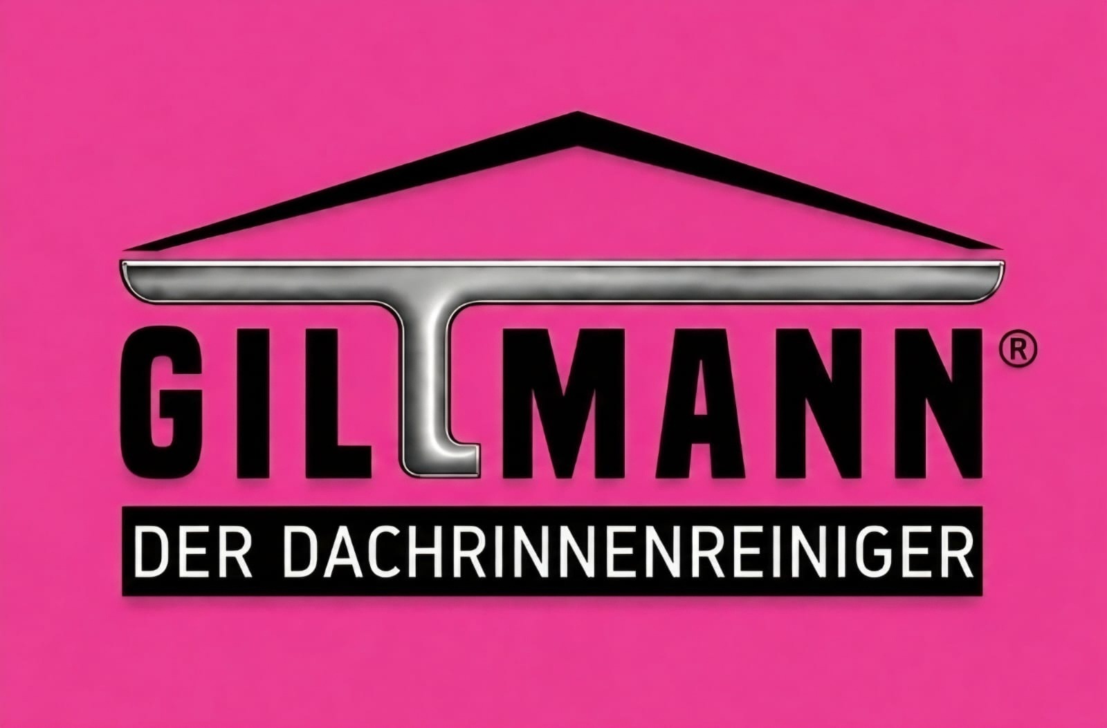 GILLMANN – Der Dachrinnenreiniger